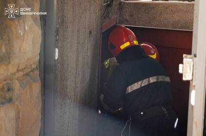 Суха трава, стерня та будівлі: де на Вінниччині сталися пожежі