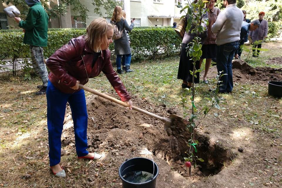 Яблуні, як символ нового життя, що стало можливим завдяки людській жертовності, висадили у Вінниці