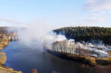 Вінничан закликають не спалювати траву: у ній мешкають тварини