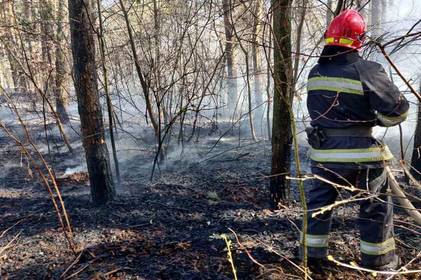 Люди, зупиніться!!! Головний пожежник Вінниччини закликає громадян припинити пожежі в екосистемі