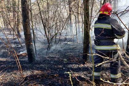 Паліям сухостою світить штраф до 153 000 гривень