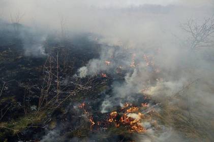 За підпал сухостою — до 5 років в’язниці: закон про посилення відповідальності за пожежі в екосистемах вступив в дію