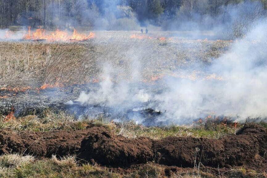 Вінниччина у вогні: попри величезні штрафи, люди продовжують випалювати сухостій