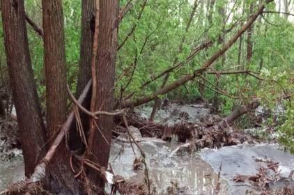 Смерть від стихії: на Вінниччині потоком води та мулу змило чоловіка