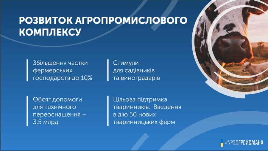 Уряд представив план дій на 2019 рік