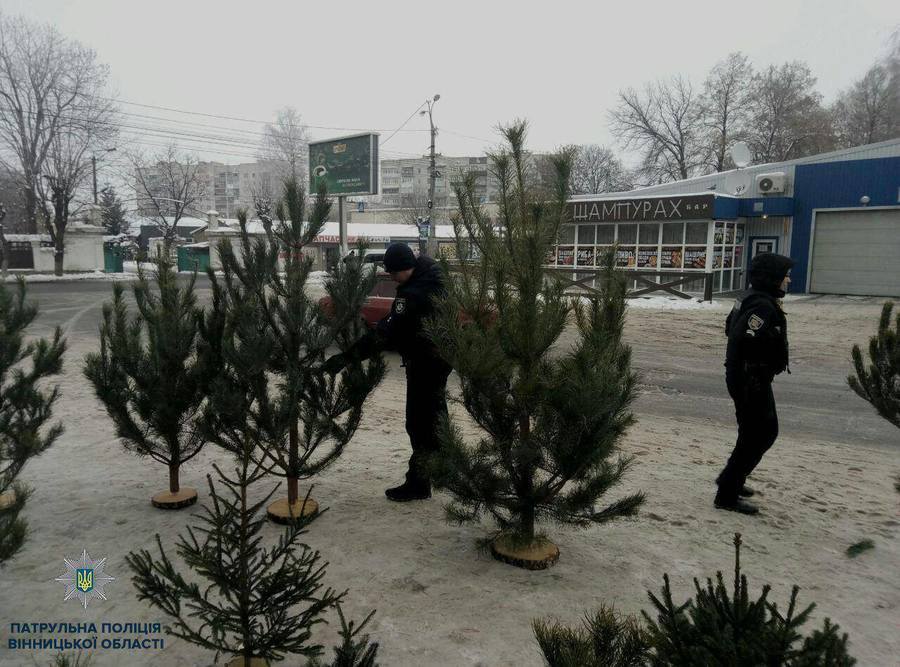 У місті розпочались рейди по місцям продажу ялинок