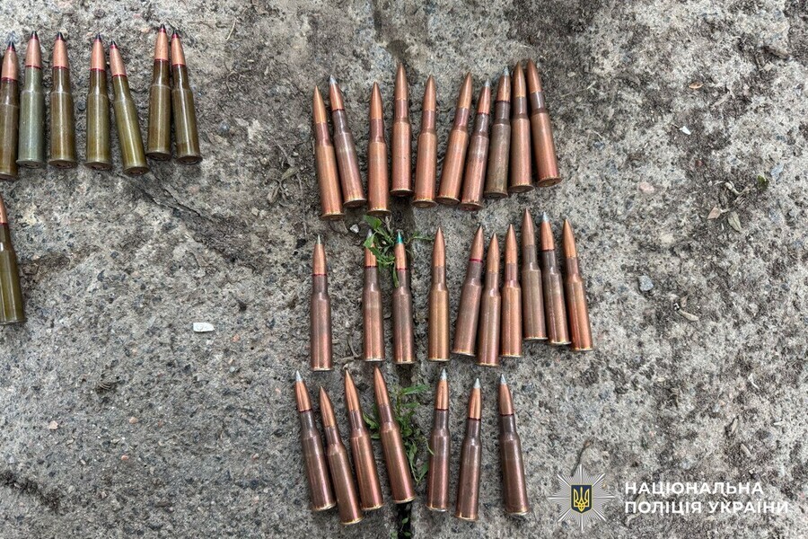 Вінничанин з гранатою тікав від поліції і ховався в лісі
