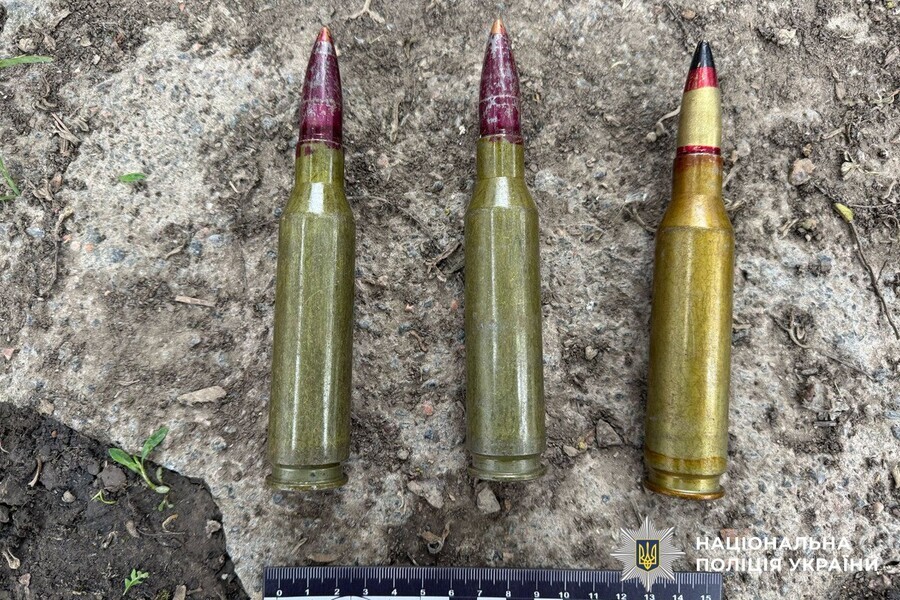 Вінничанин з гранатою тікав від поліції і ховався в лісі