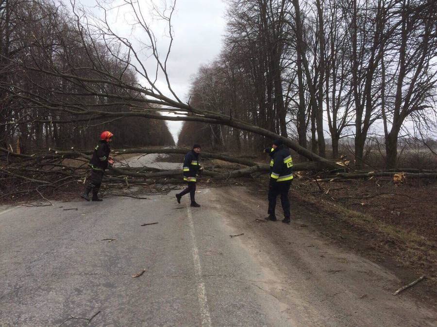 Дві жертви негоди: у Вінниці дерево впало на 11-річну дівчинку, у Хмільнику - на молоду жінку. Обидві отримали несумісні з життям травми