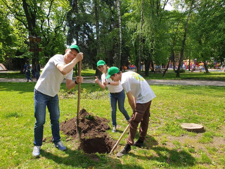 Сквер біля Вежі засадили екзотичними деревами