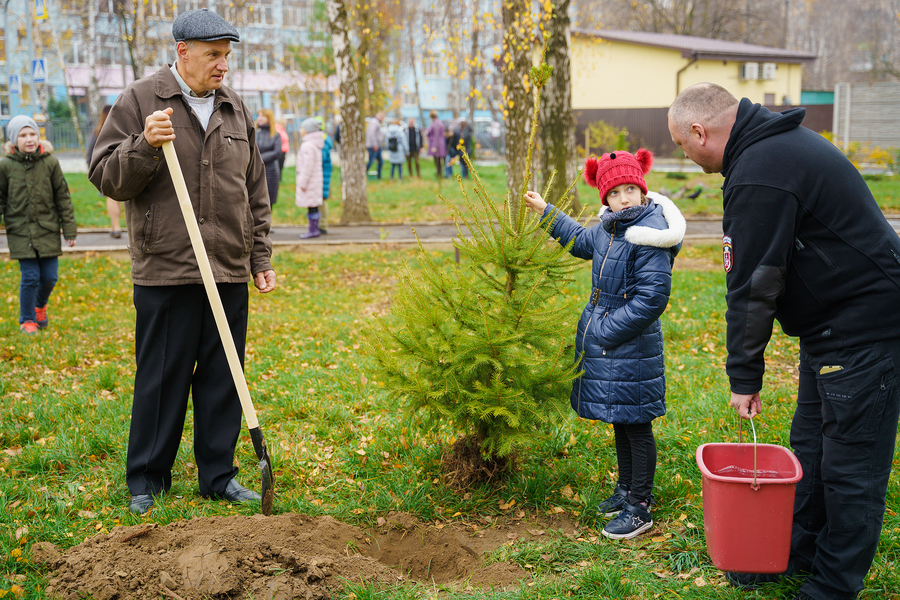 Вінницькі школи долучилися до акції «Посади дерево – збережи довкілля»