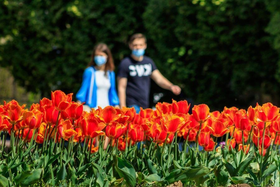 Травневі вікенди: скільки днів відпочиватимуть вінничани в другому місяці весни