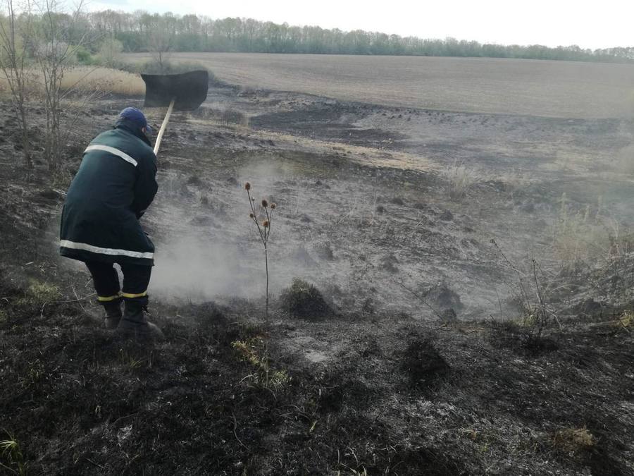 Вінниччина у вогні: попри величезні штрафи, люди продовжують випалювати сухостій