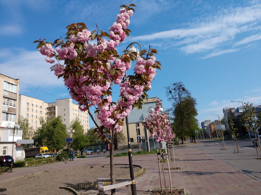 Жива фотолокація для вінницьких молодят