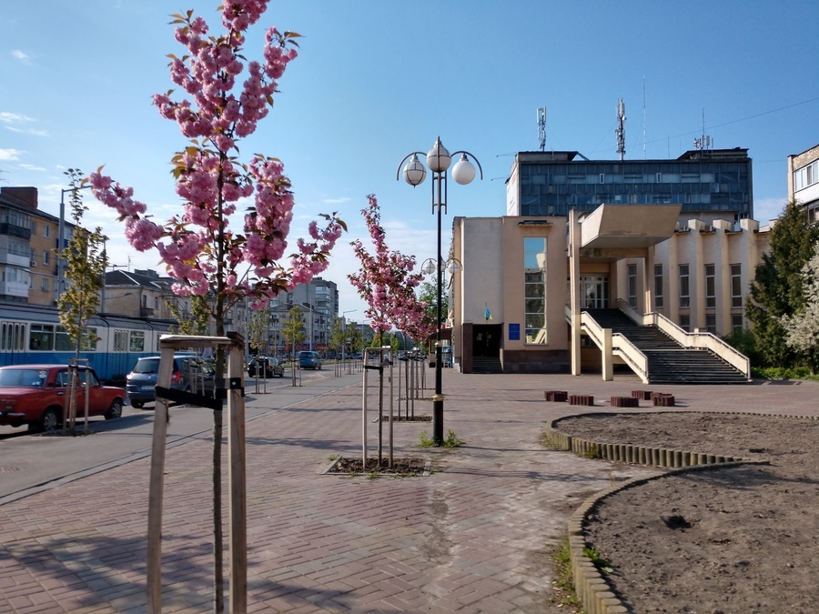 Жива фотолокація для вінницьких молодят