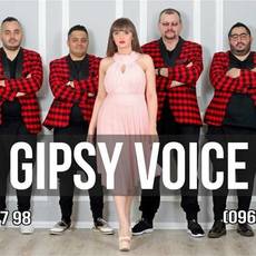 Кавер-бенд "Gipsy Voice" | world pop, dans hit's