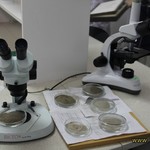ДУ «Вінницька обласна фітосанітарна лабораторія» переїхала в оновлене приміщення