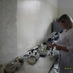 ДУ «Вінницька обласна фітосанітарна лабораторія» переїхала в оновлене приміщення