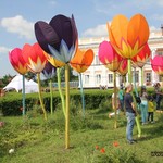 KIDS OPERAFEST у Тульчині відкрила казкова опера «Король Дроздобород»