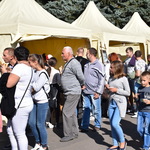 День Вінниці: у Центральному парку відбувся проект для людей поважного віку «Вінниця – місто активних» та фестиваль вуличної їжі «Vinnytsia Food Fest»