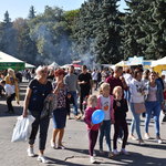 День Вінниці: у Центральному парку відбувся проект для людей поважного віку «Вінниця – місто активних» та фестиваль вуличної їжі «Vinnytsia Food Fest»