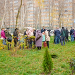 Вінницькі школи долучилися до акції «Посади дерево – збережи довкілля»