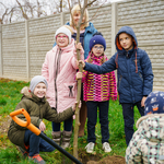 Вінницькі школи долучилися до акції «Посади дерево – збережи довкілля»