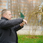 Вінницькі школи долучилися до акції «Посади дерево – збережи довкілля»