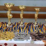 У Вінниці відбувся відкритий турнір з рукопашного бою
