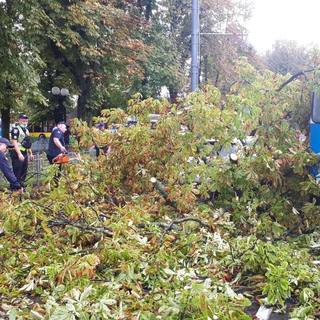 Вінницькі рятувальники відкачують воду з підтоплених будинків та прибирають повалені дерева