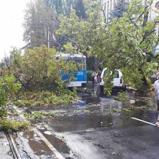 Вінницькі рятувальники відкачують воду з підтоплених будинків та прибирають повалені дерева