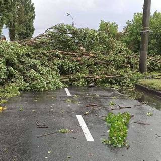 Вінницькі рятувальники відкачують воду з підтоплених будинків та прибирають повалені дерева