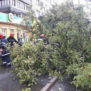 Вінницькі рятувальники відкачують воду з підтоплених будинків та прибирають повалені дерева