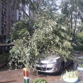 Вінницькі рятувальники відкачують воду з підтоплених будинків та прибирають повалені дерева