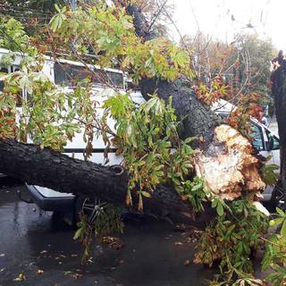 Вінницькі рятувальники відкачують воду з підтоплених будинків та прибирають повалені дерева