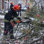На вул. Порика на дорогу впало дерево