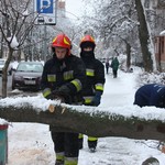На вул. Порика на дорогу впало дерево